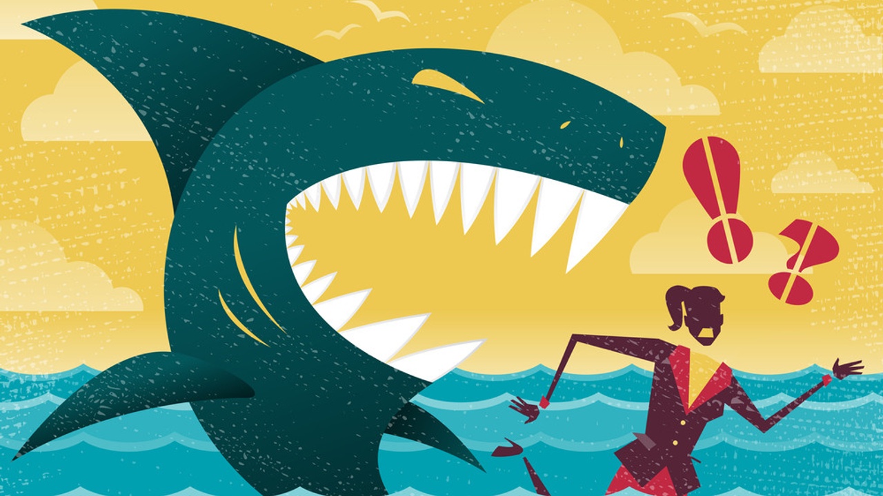 Are You a Teddy Bear, a Turtle, a Shark, a Fox or an Owl when Dealing with Conflict?