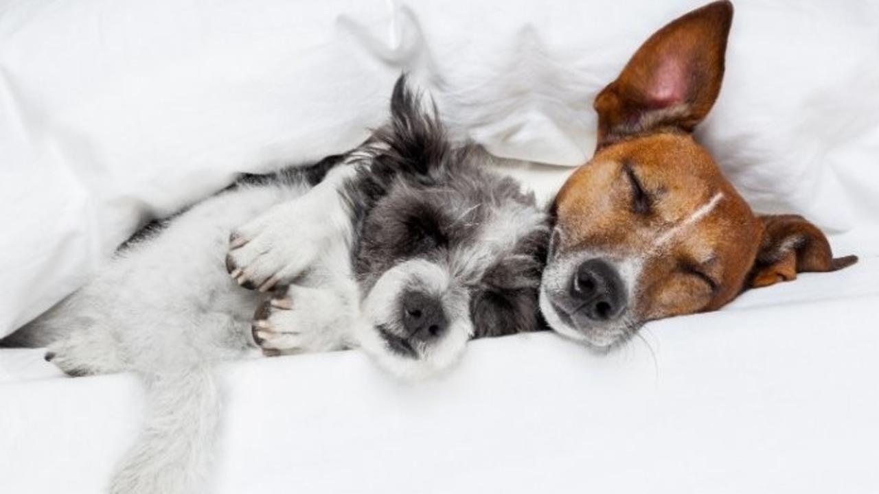 How to Build Rapport with People Who are Very Different from You